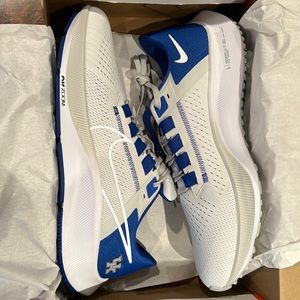 CUSTOM Men’s UNIVERSITY OF KENTUCKY Nike Air Zoom Pegasus 38